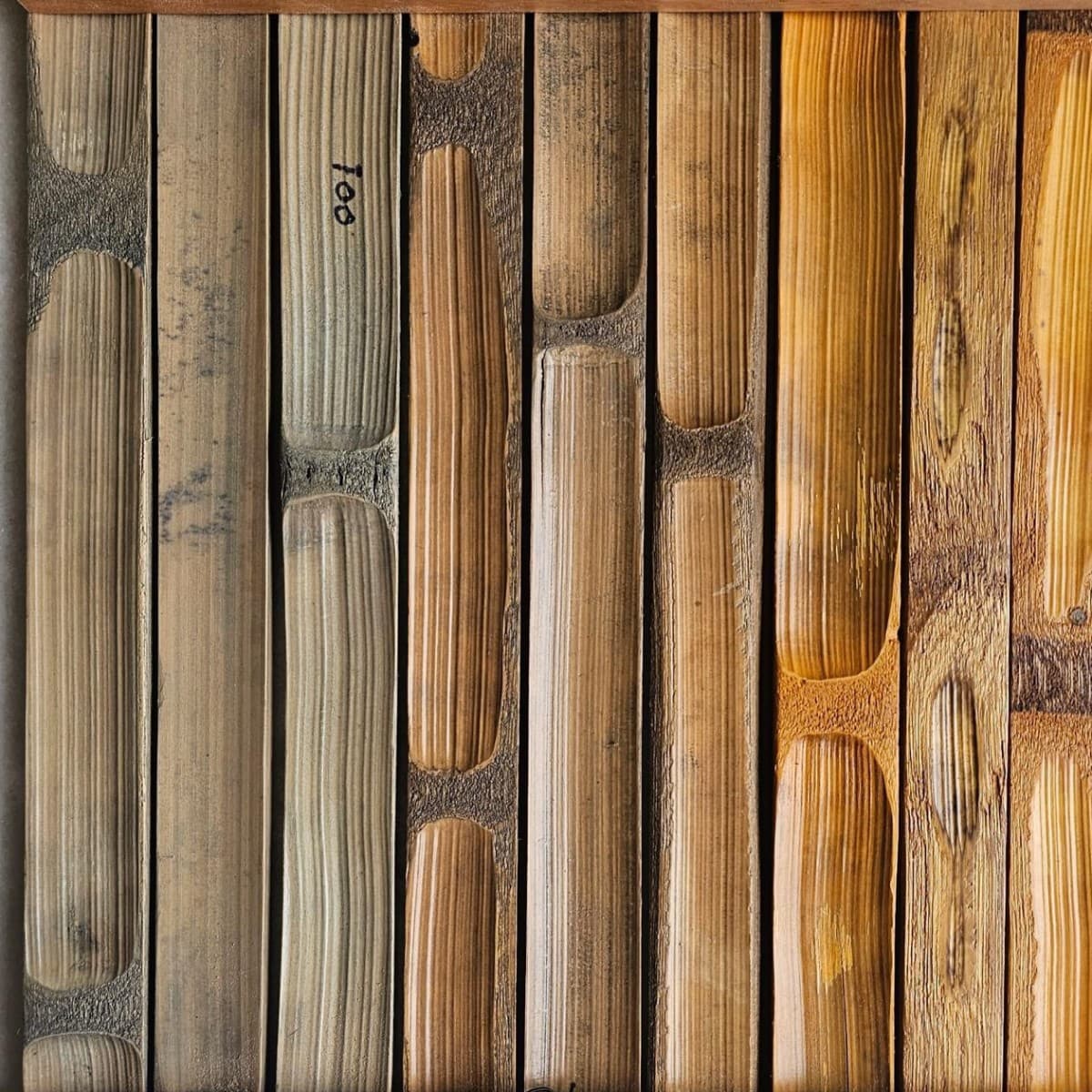 Textured bamboo surfaces