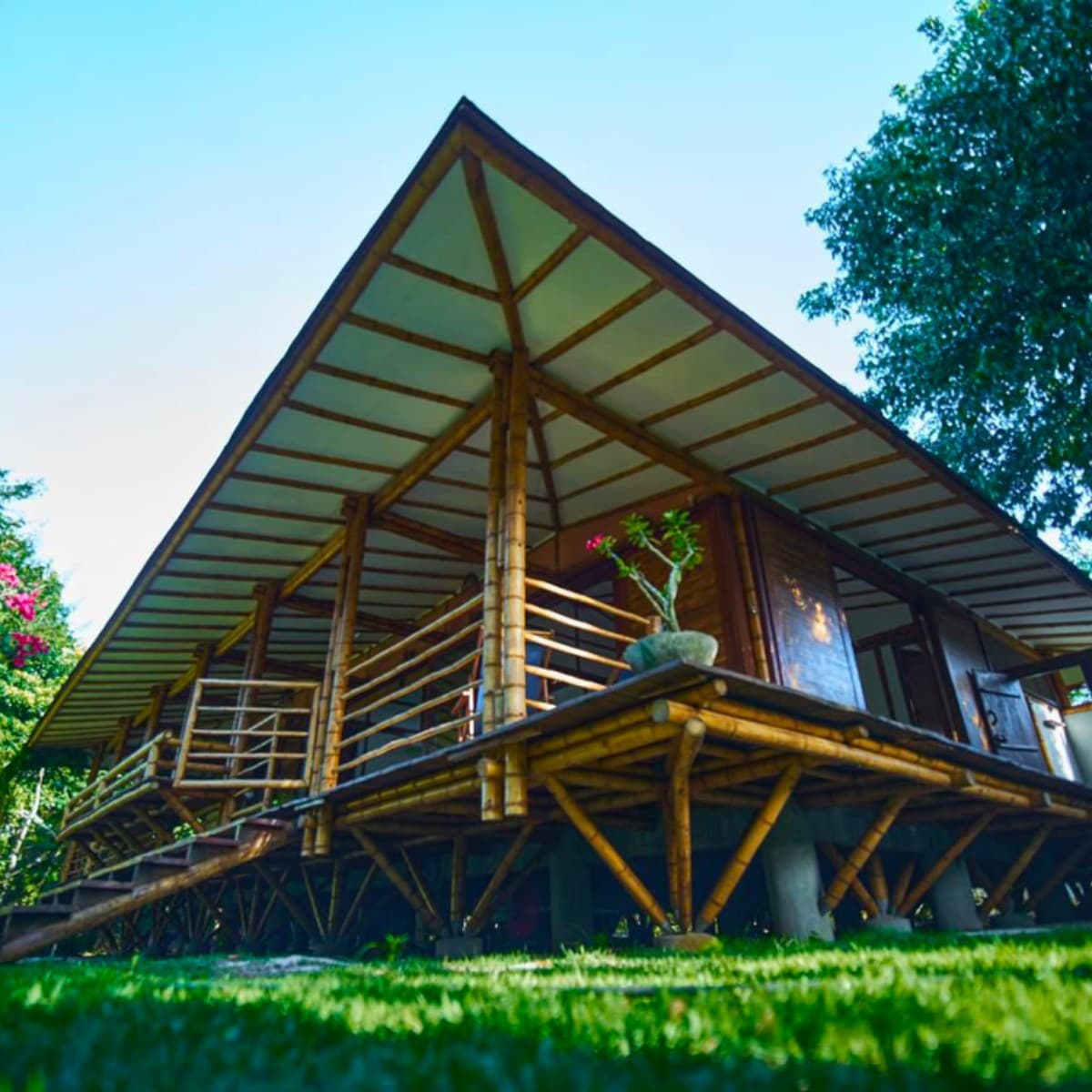 Casa Bambu Algodões - 6