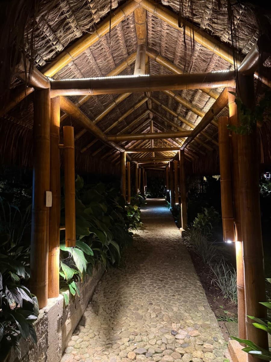 Lighting projects with bamboo