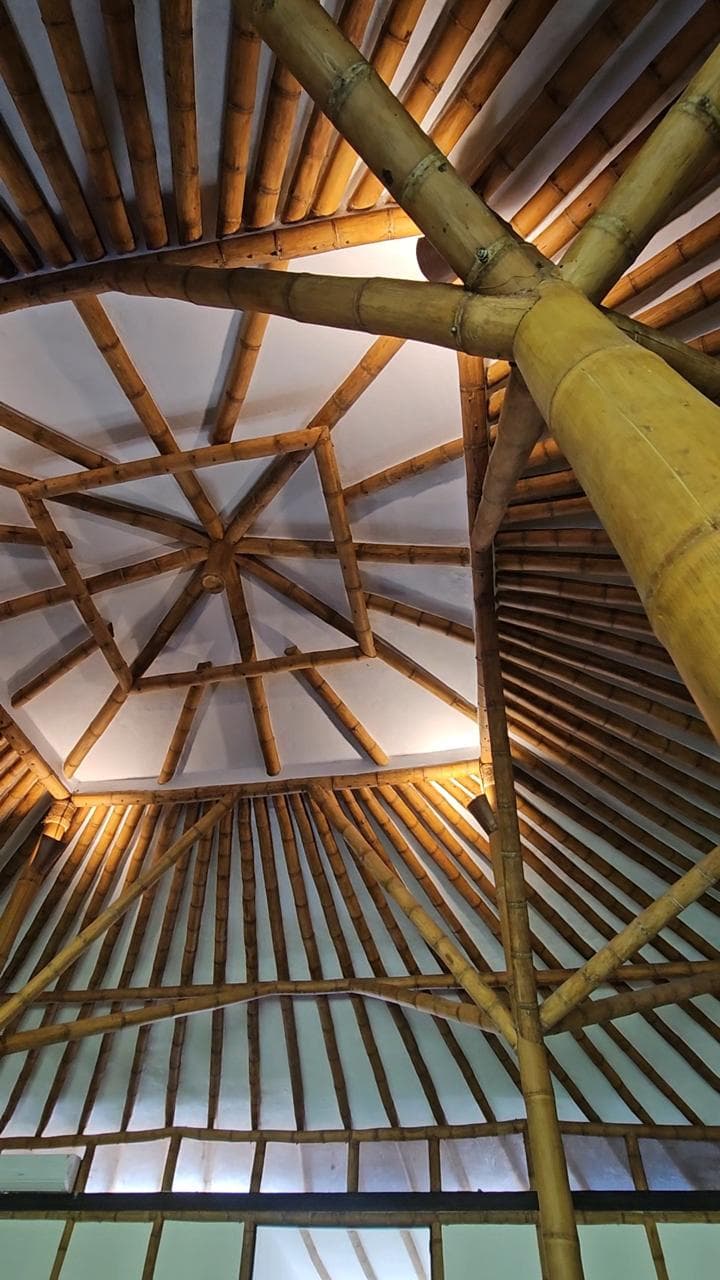 The Art of Transforming Bamboo - 5