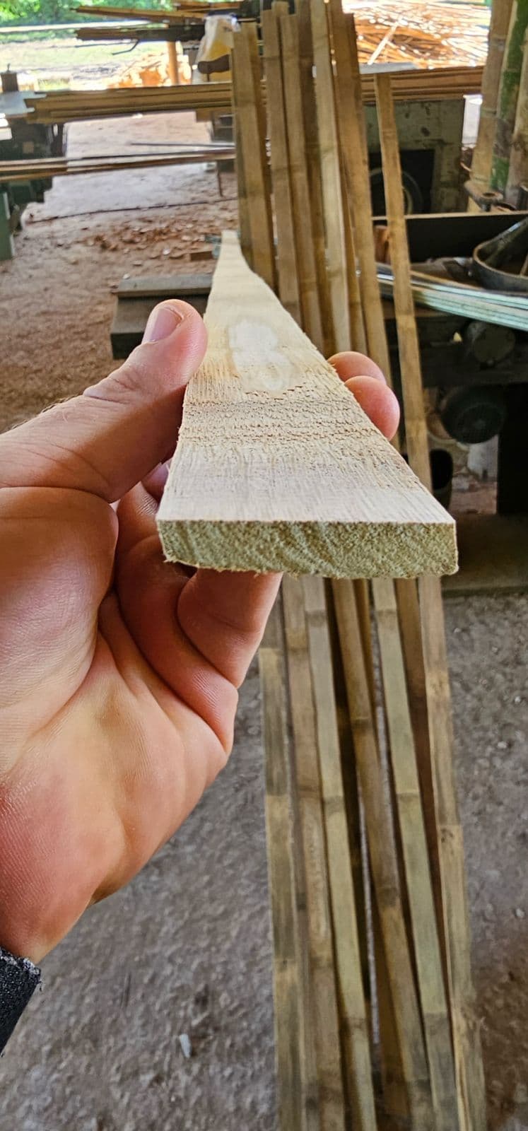 The Art of Transforming Bamboo - 6